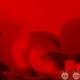 nessoucat13